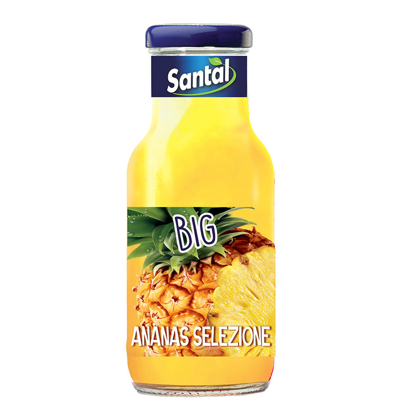 Santal Ananas 100% 25cl x24